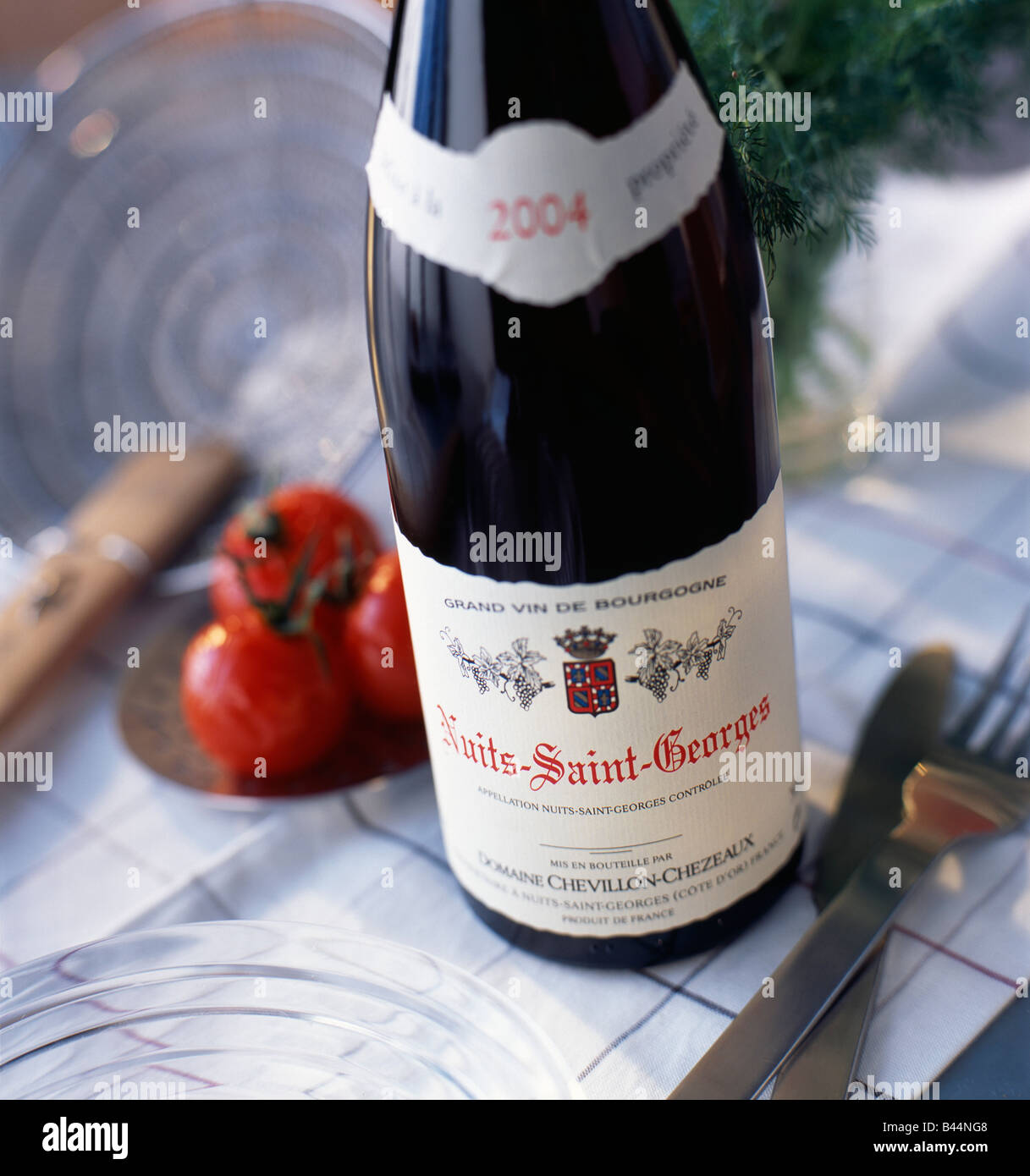 Flasche Bourgogne Nuits-Saint-Georges Stockfoto