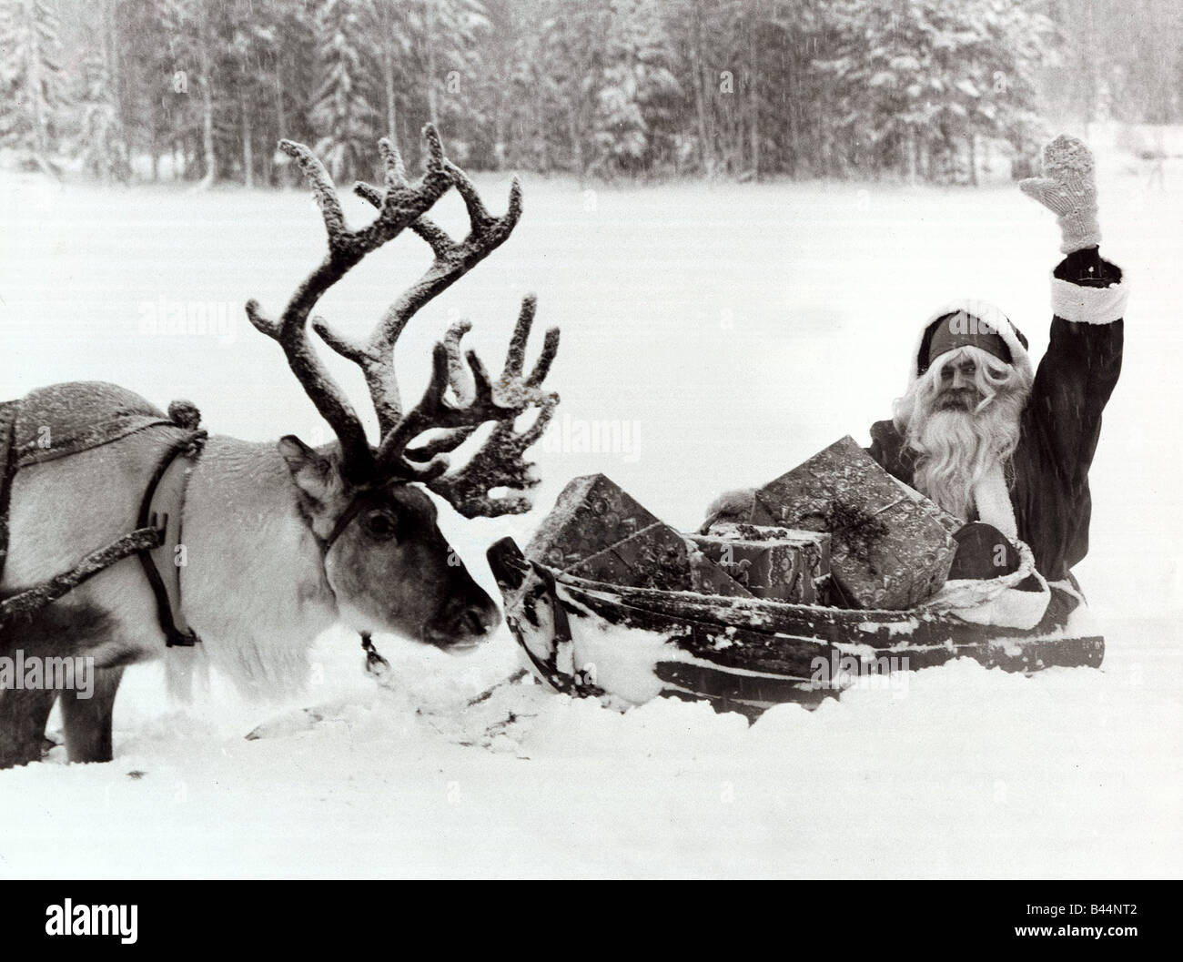 Weihnachtsmann auf seinem Schlitten im Schnee Dezember 1981 mit seiner Rentiere suchen auf mirrorpix Stockfoto