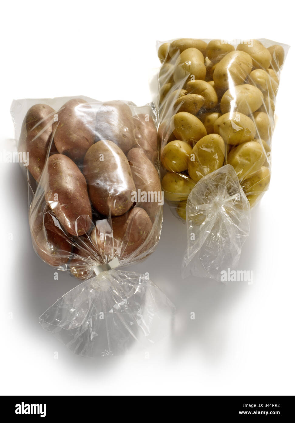 Pack von Roseval Kartoffeln und Ratte-Kartoffeln Stockfoto