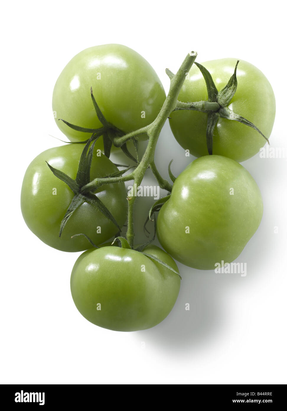 Haufen von grünen Tomaten Stockfoto