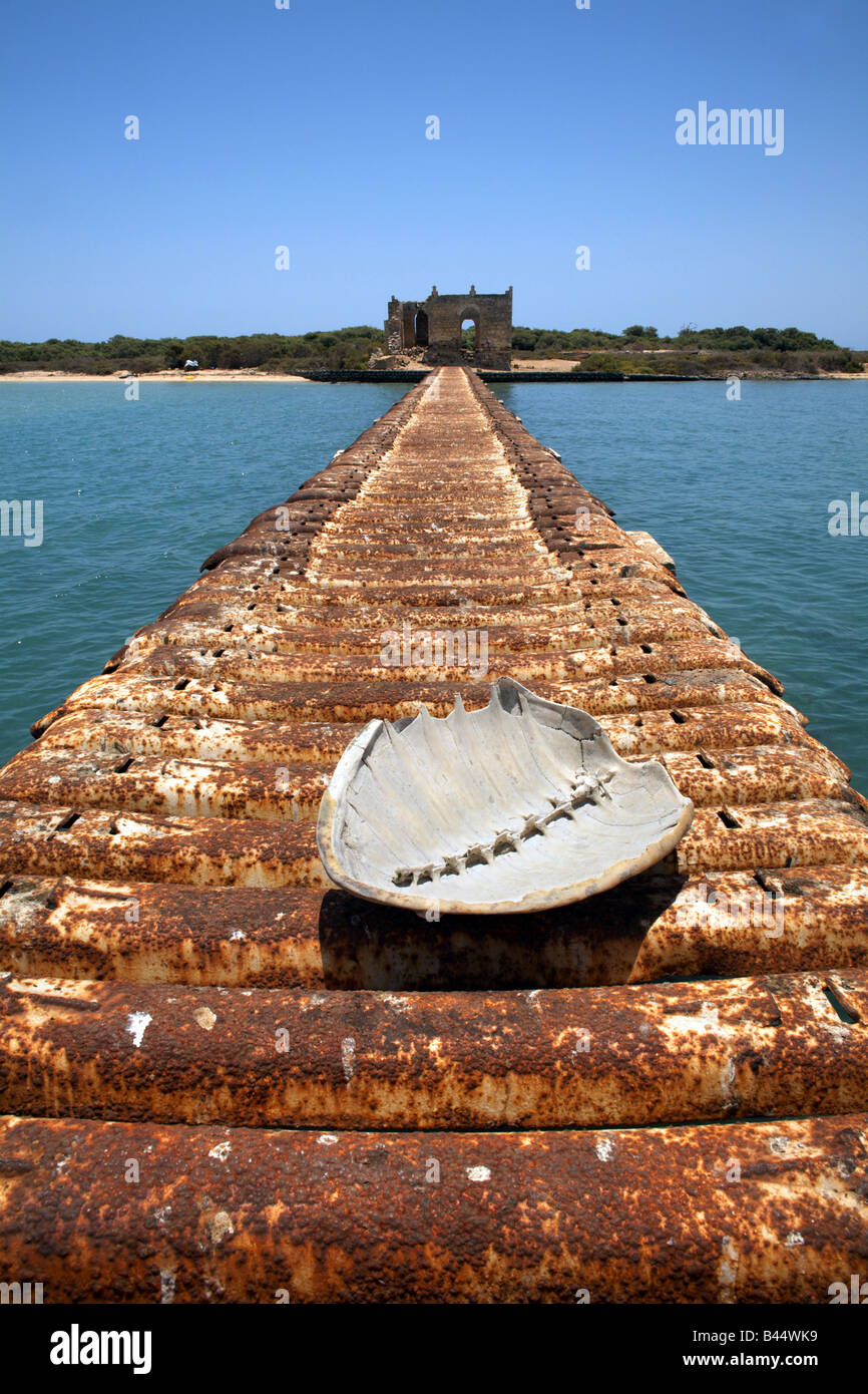 Schildkrötenpanzer auf einem Steg, Massawa, Eritrea Stockfoto