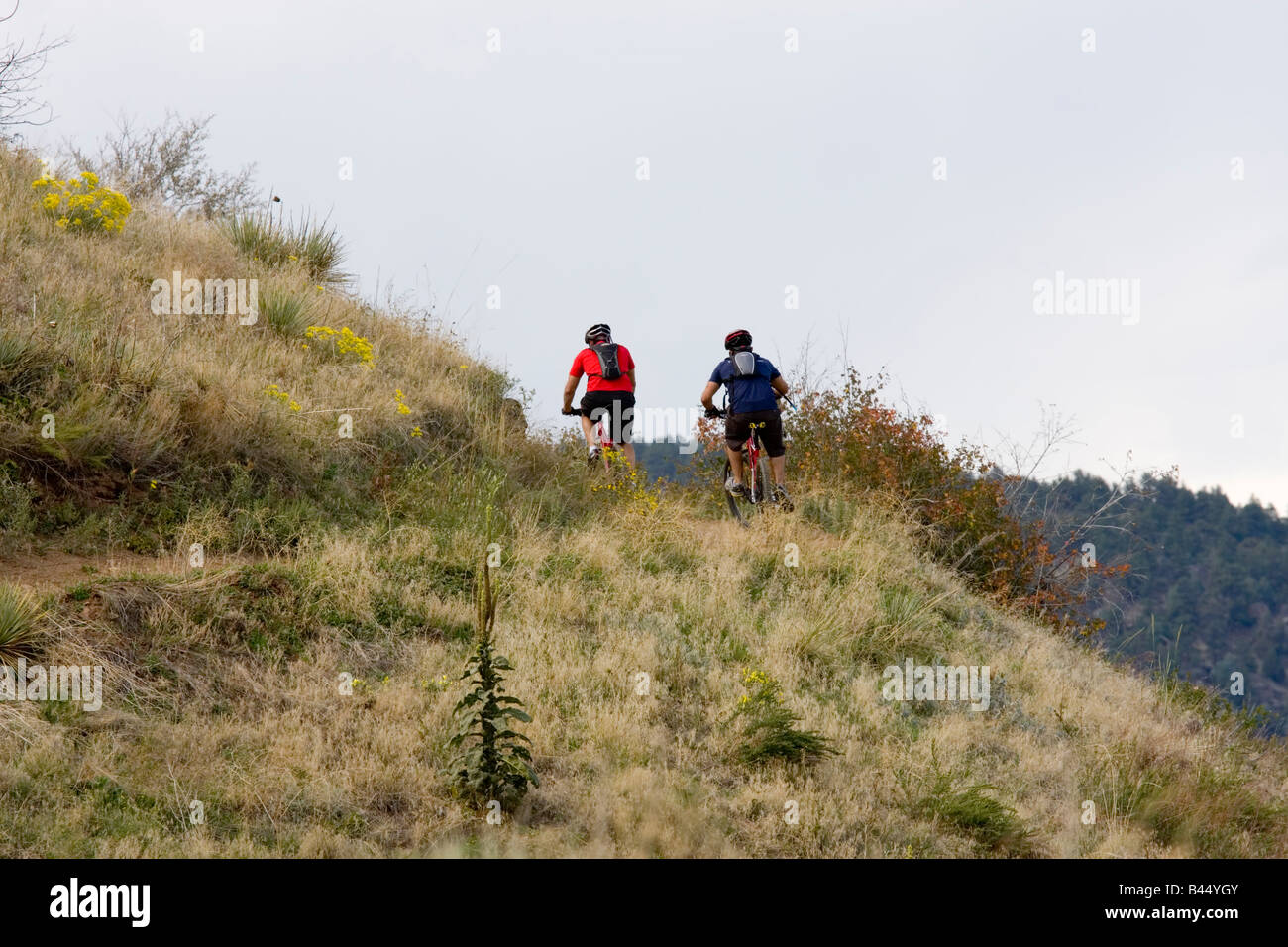 Mountainbiker fahren die robuste Spuren des weißen Ranch Park in der Nähe von Golden Colorado an einem warmen Herbst am frühen Nachmittag Stockfoto