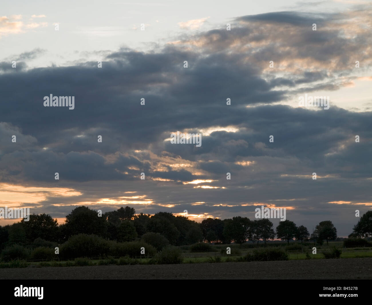 Sonnenuntergang auf der Elbmarsch, Deutschland. Stockfoto