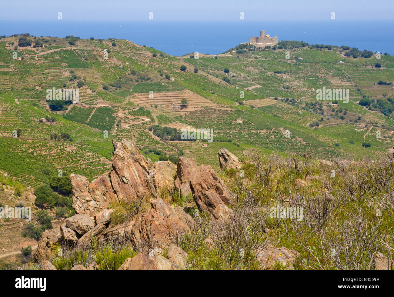 Eine Landschaft in der Nähe von Port-Vendres im Hinterland des mediterranen Côte Vermeille Stockfoto