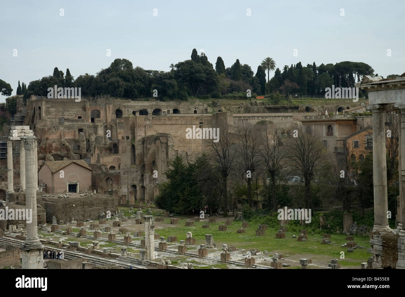 Roman Forum Ruinen und Blick auf Palantine hill Stockfoto