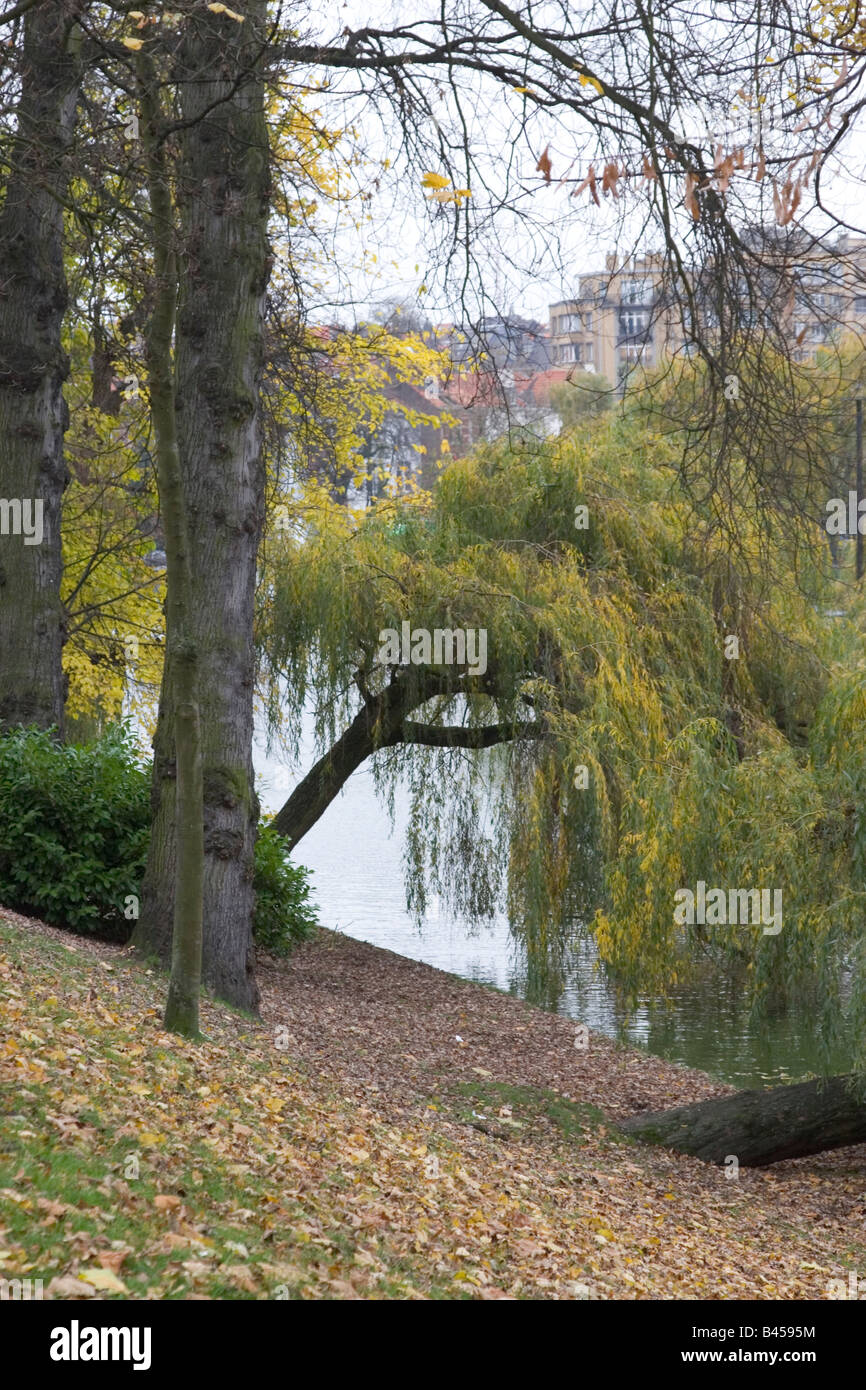 Die malerische Ixelles Teiche in den Vororten der Stadt Brüssel, fotografiert Belgien während der Herbst-Saison Stockfoto