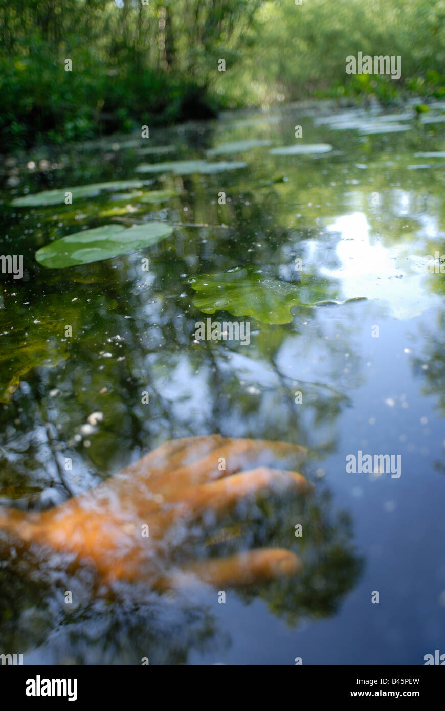 Hand unter Wasser, Symbol des Todes, Kriminalität, ertrinken, Opfer, etc. Stockfoto