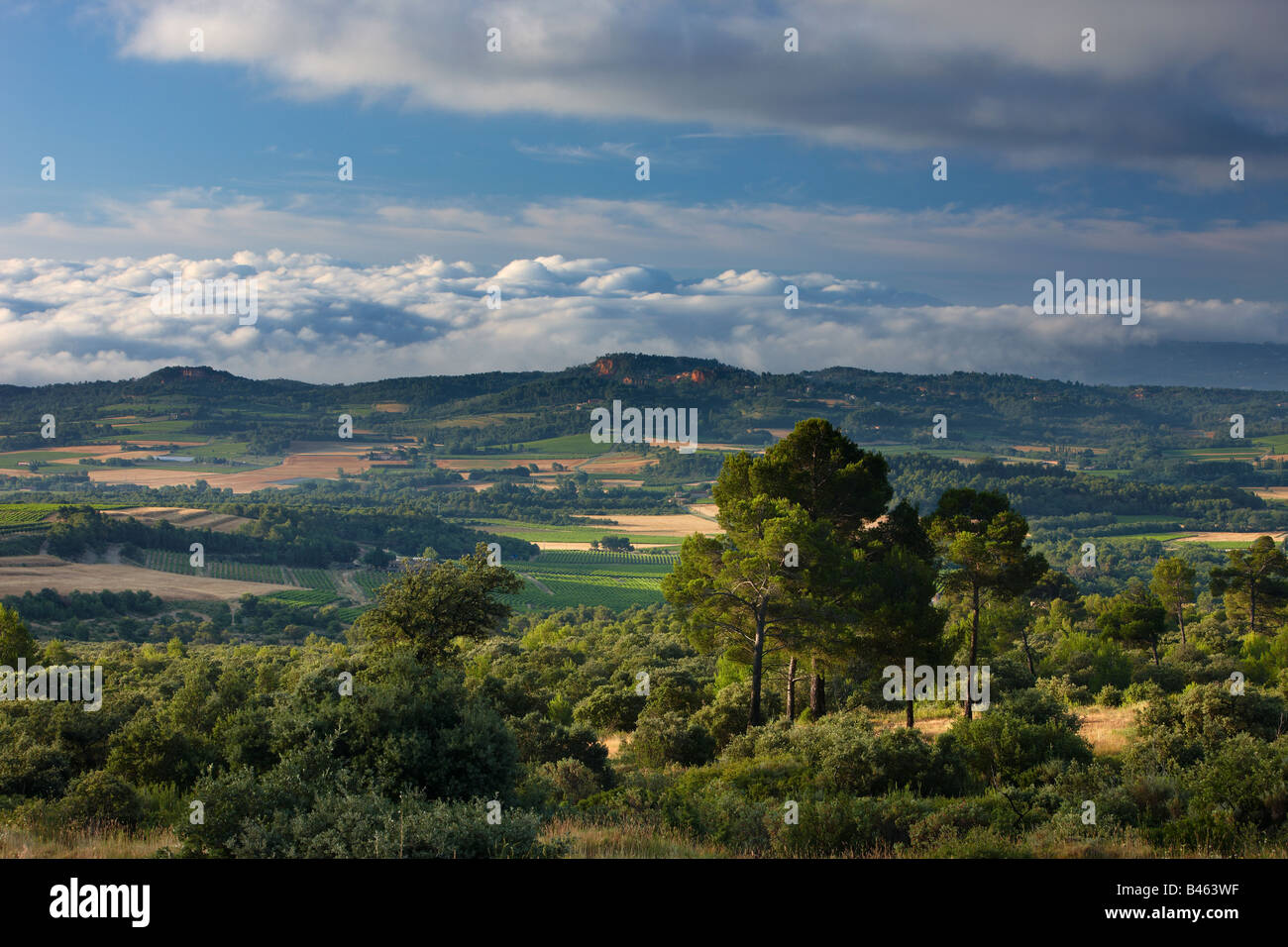 hügeligen Wäldern und Ackerland in der Nähe von Rousillon im Morgengrauen, Vaucluse, Provence, Frankreich Stockfoto