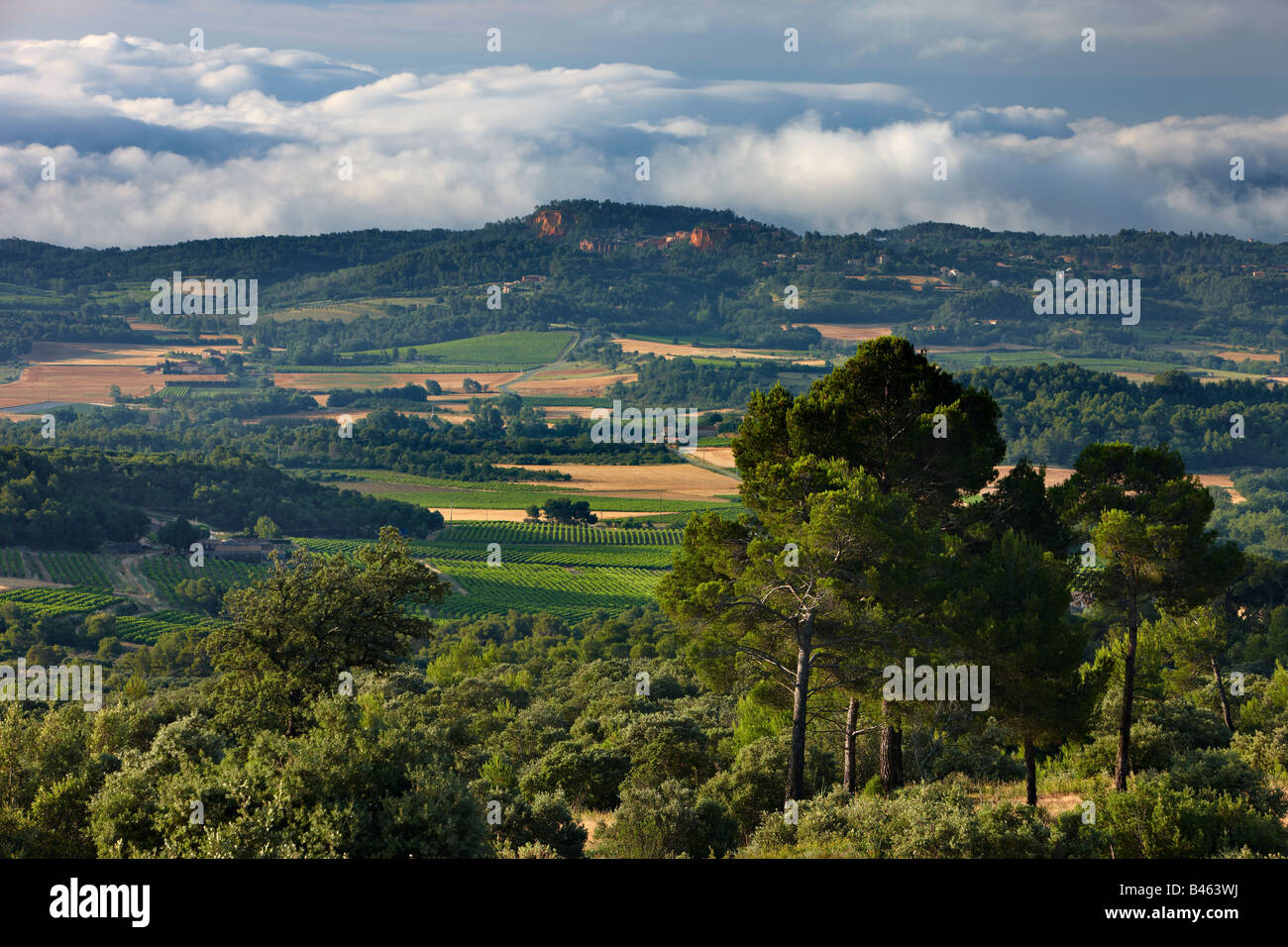 hügeligen Wäldern und Ackerland in der Nähe von Rousillon im Morgengrauen, Vaucluse, Provence, Frankreich Stockfoto