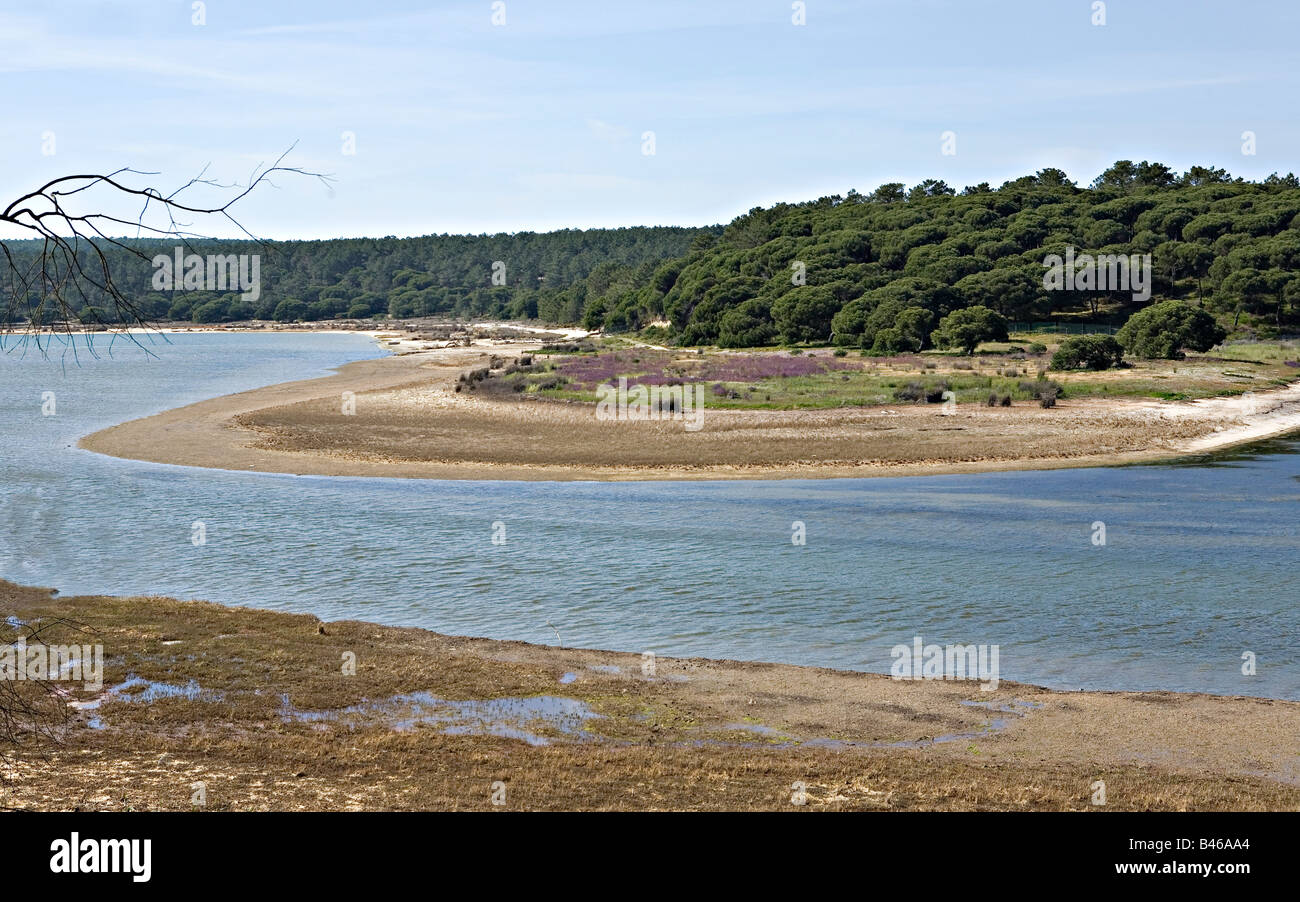 Brackwasser Lagune Lagoa de Albufeira in Portugal Stockfoto