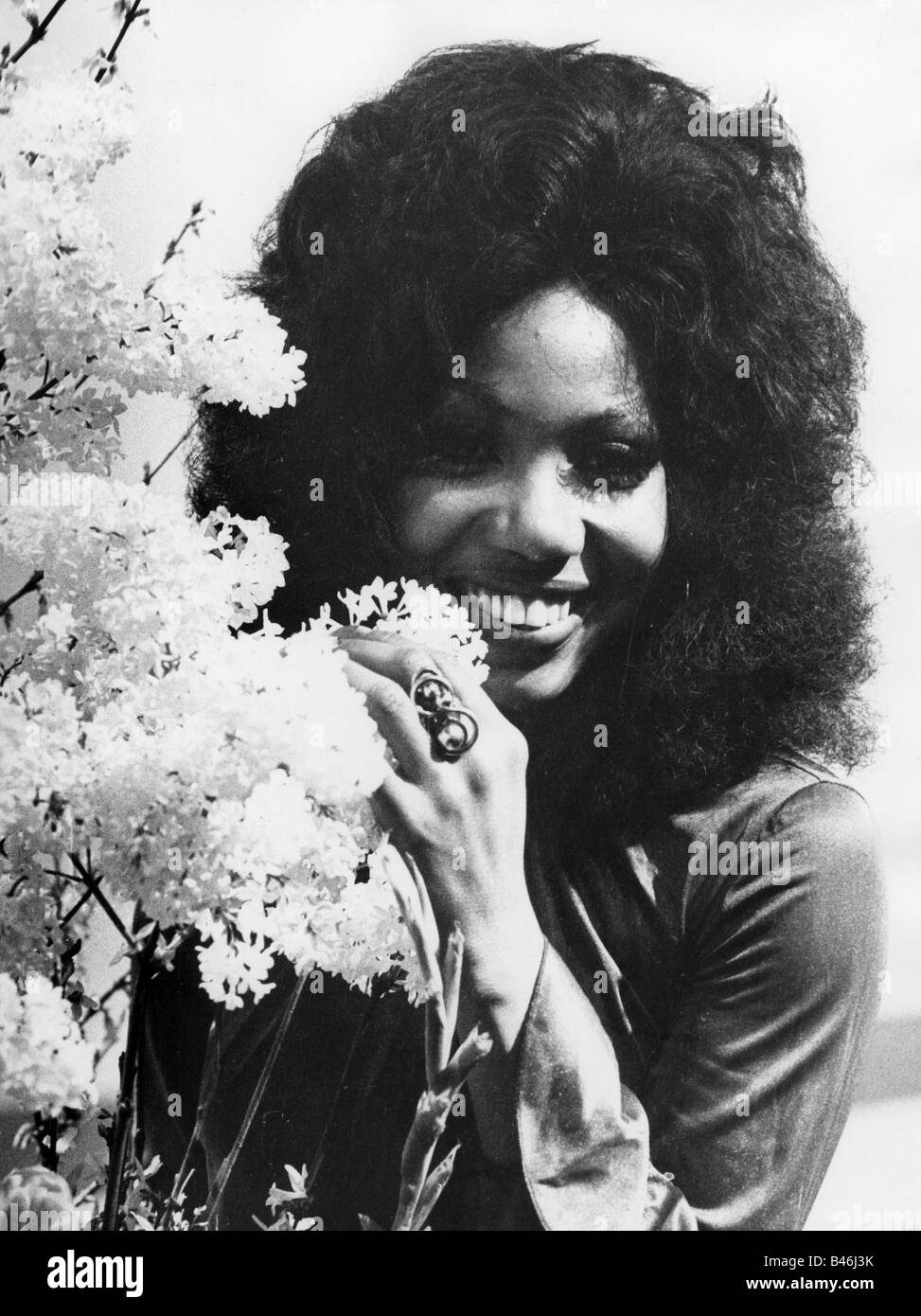 Les Humphries Singers, Popmusikband, Sängerin Judith Archer, halbe Länge, 1971, Stockfoto