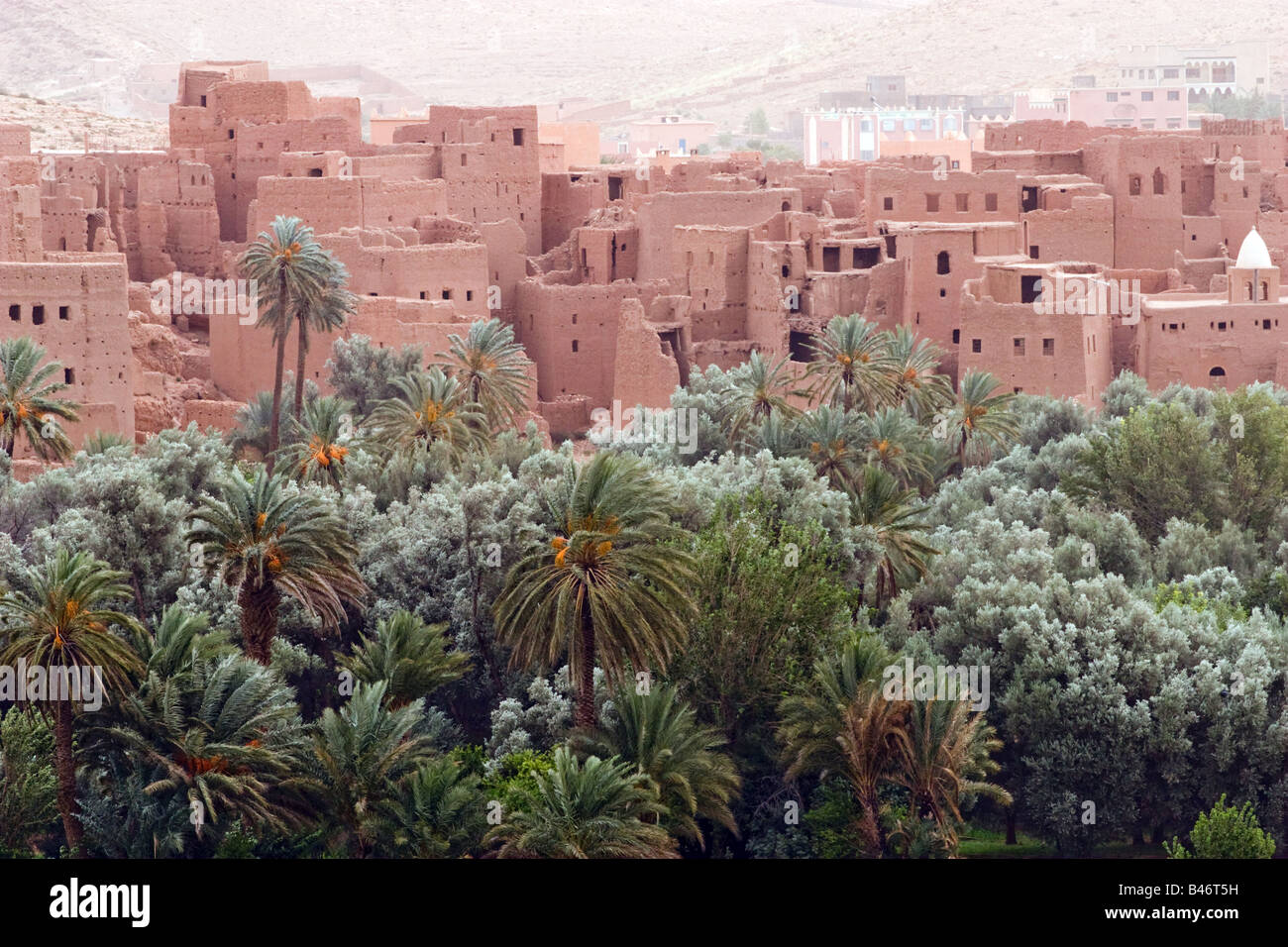 die Altstadt von Tineghir in Palm Grove Marokko Dades Tal Stockfoto