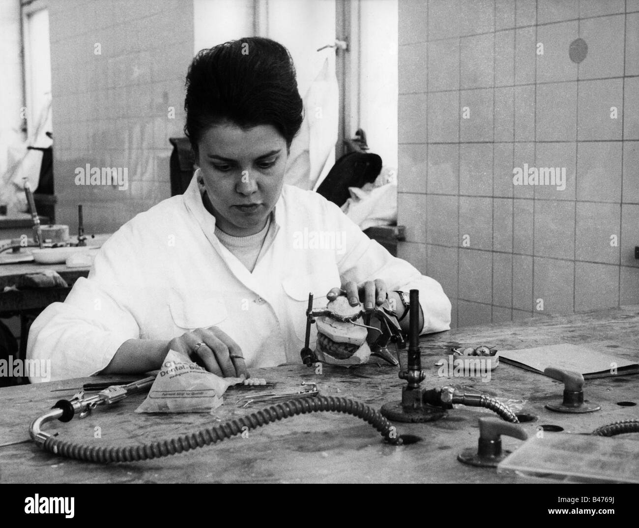 Bildung, Universität, Zahnmedizin, Student mit zahnärztlicher Facharbeit, 1960er Jahre, Stockfoto