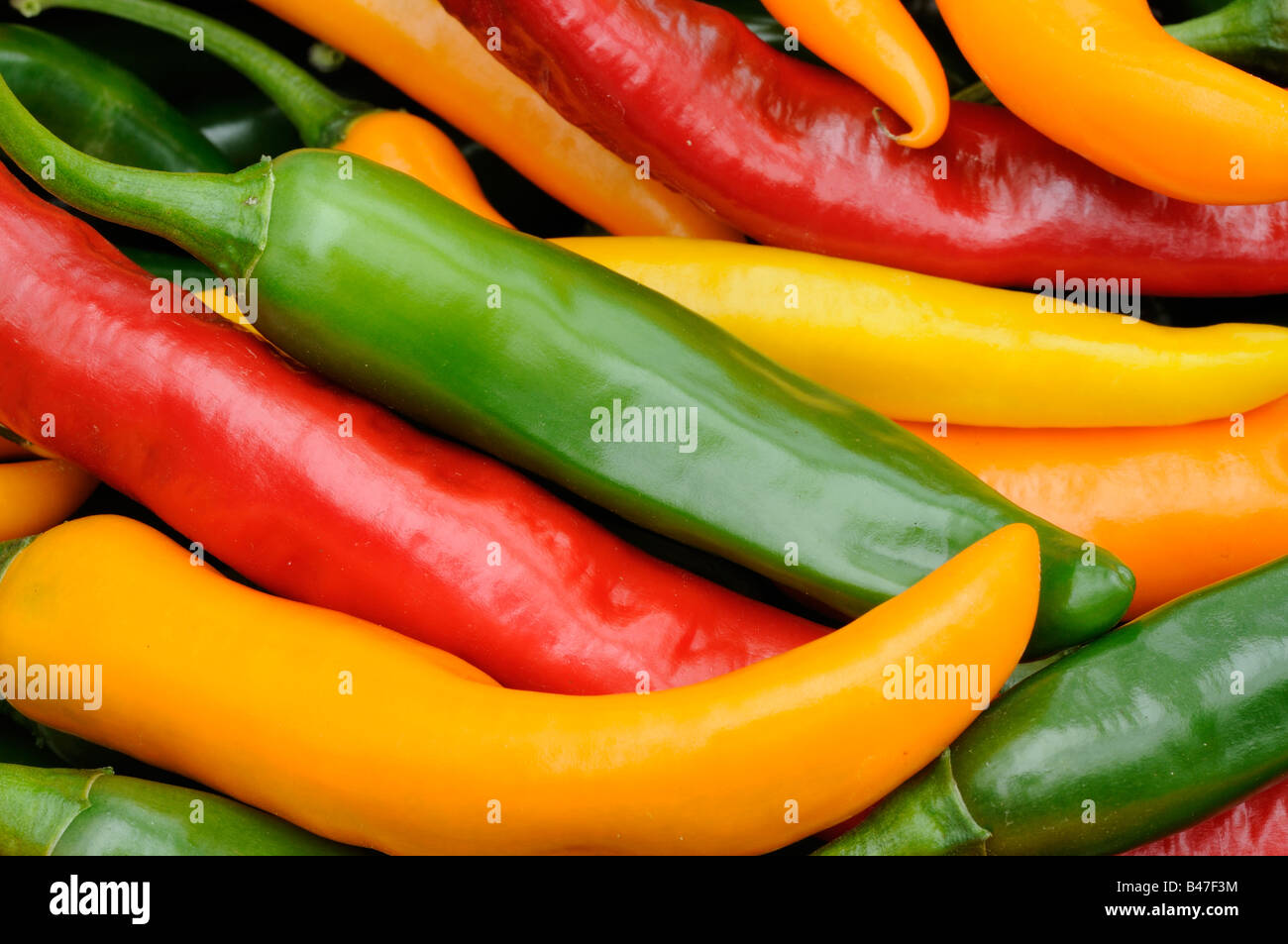 Frisch gepflückt Nahaufnahme Schuss rot grün gelb Chillies Stockfoto