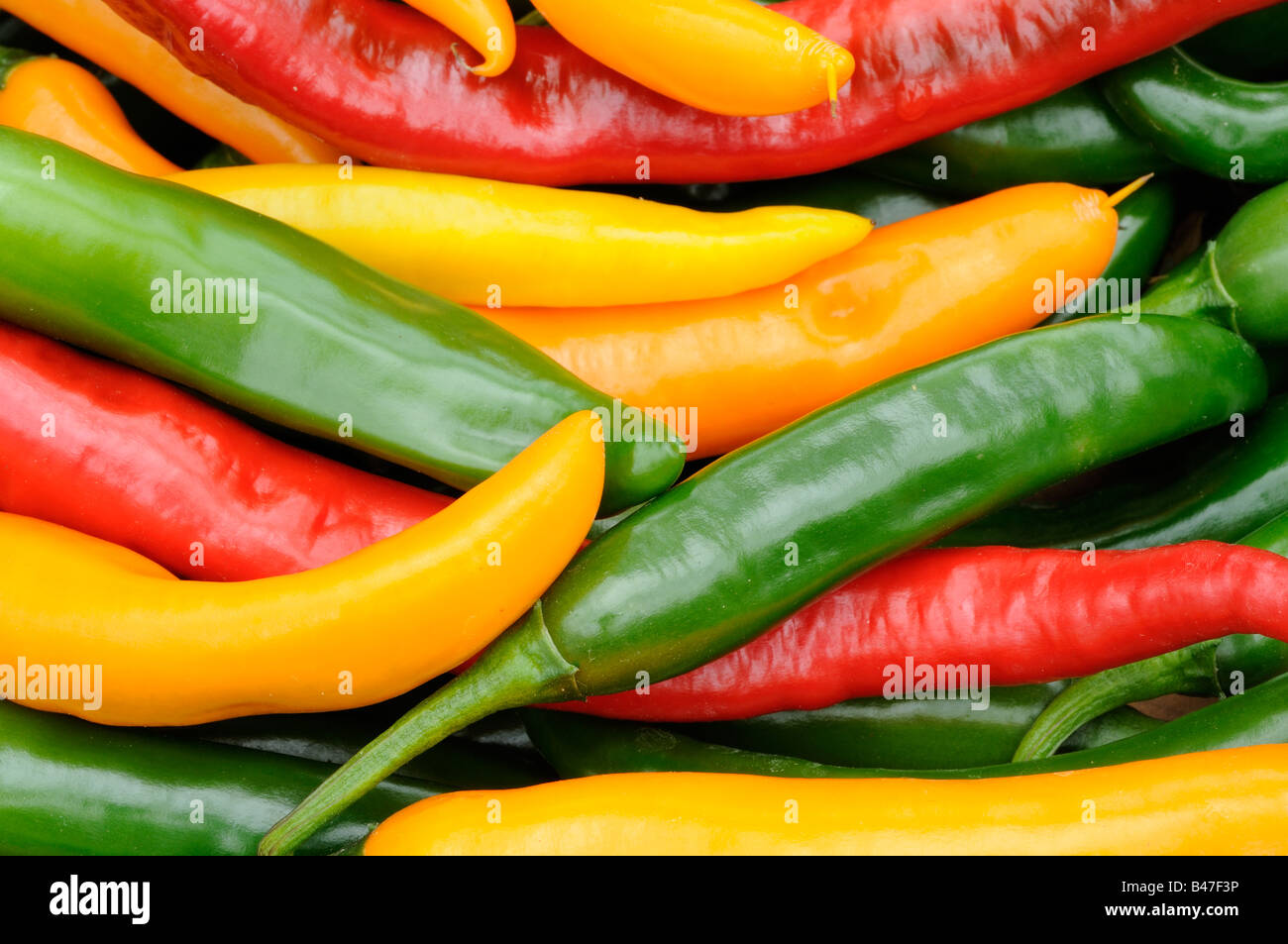 Frisch gepflückt Nahaufnahme Schuss rot grün gelb Chillies Stockfoto