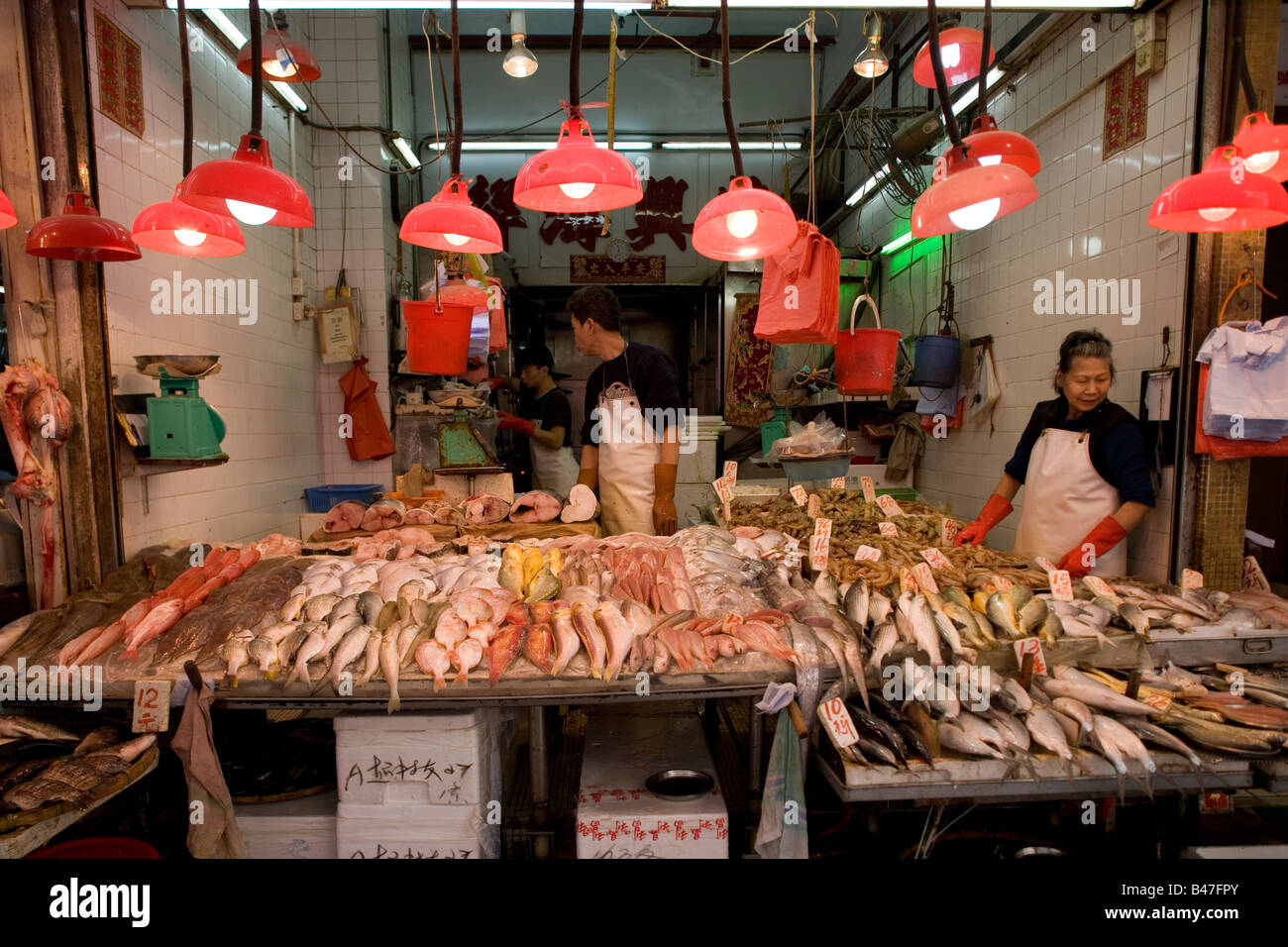 Fischmarkt in Hong Kong. China Stockfoto