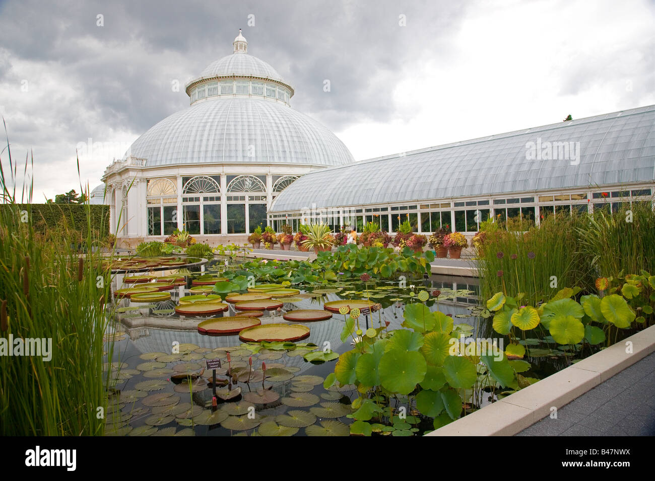 Das Konservatorium in New York Botanischer Garten mit Seerosenteich im Vordergrund Stockfoto