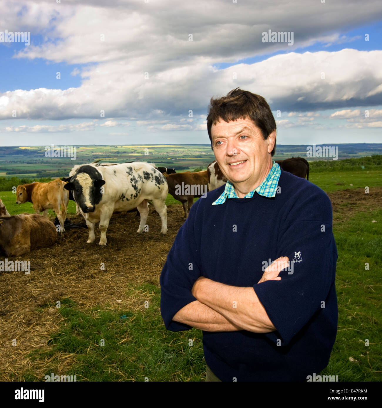 Englisch Landwirt stehen im Feld mit seiner Herde von Kühen auf einem Tagebuch farm UK Stockfoto