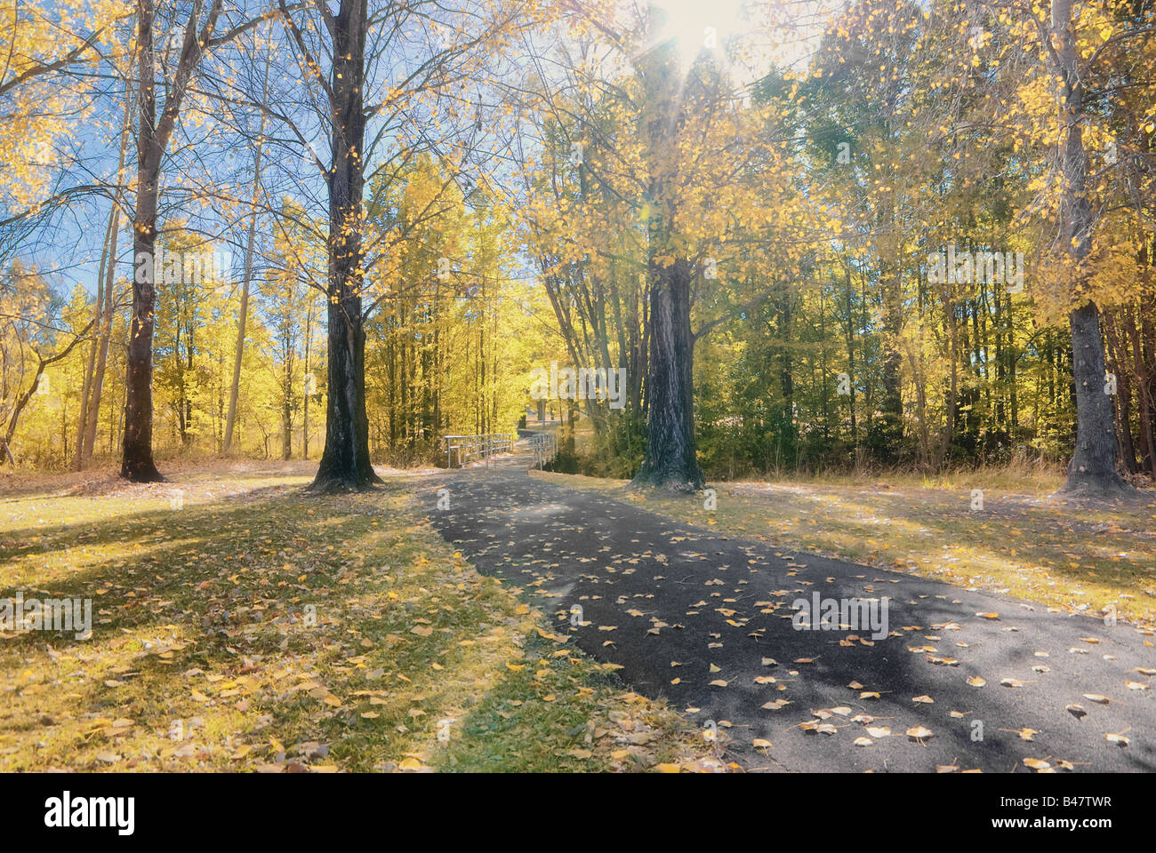 große bunte Bild einer Landstraße oder Weg im Herbst Stockfoto