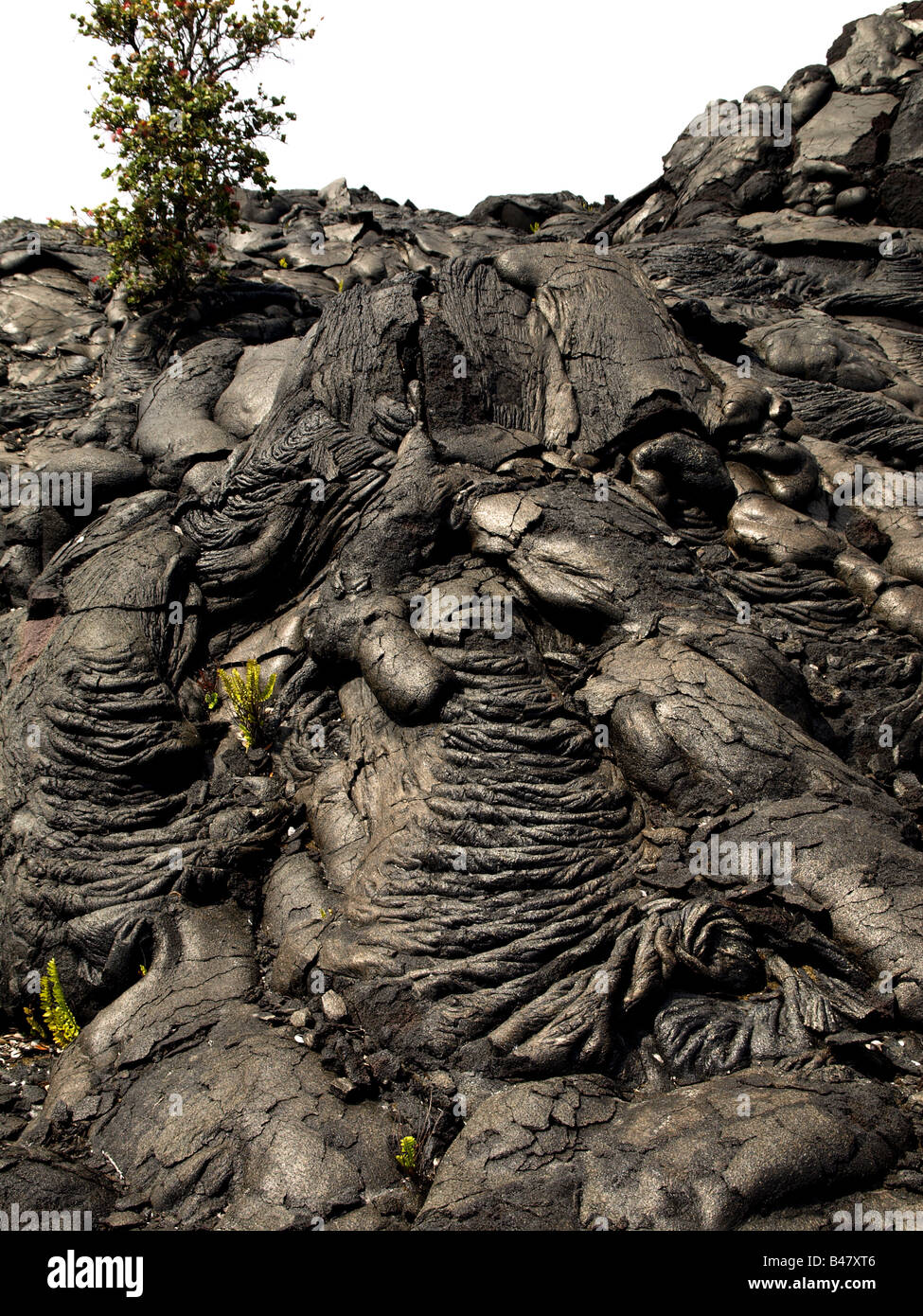 Gehärtete Lavastrom auf Hawaiis Big Island Stockfoto