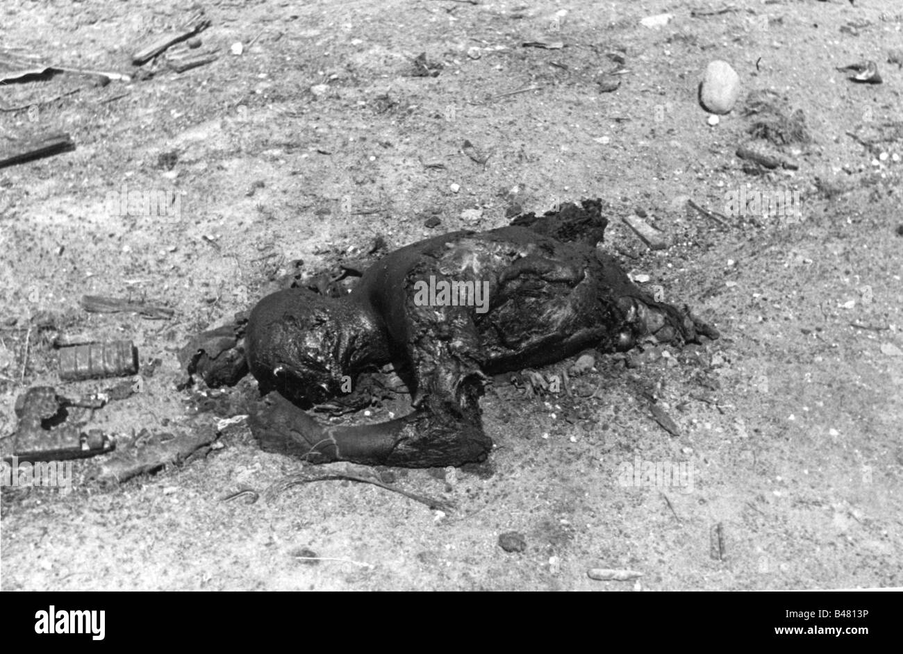 Ereignisse, Zweiter Weltkrieg/zweiter Weltkrieg, Russland 1941, Sowjetzäule nach deutschem luftangriff zwischen Bialystok und Vaukavysk, verkohlte Überreste eines sowjetischen Soldaten, Juli 1941, Stockfoto