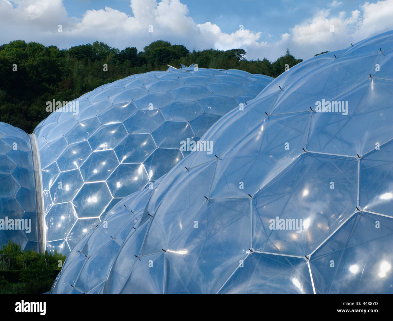 BIOM in Eden project,st.austell,cornwall,england. Stockfoto
