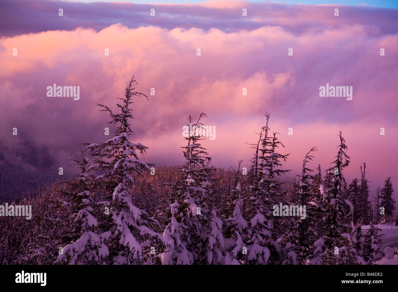 Sonnenaufgang über dem Mount Hood, Oregon, USA Stockfoto