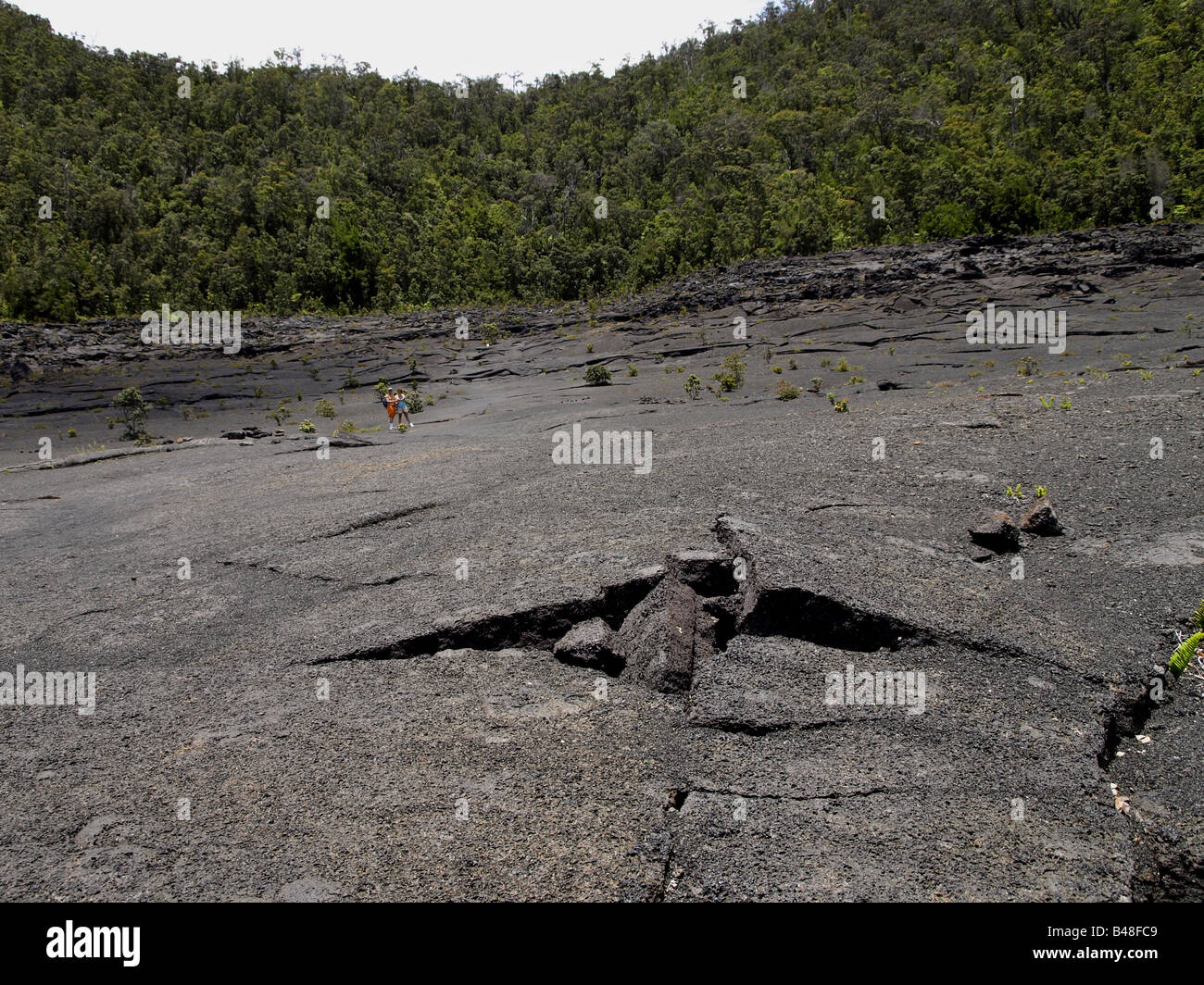 Kilauea-Iki-Krater Stockfoto