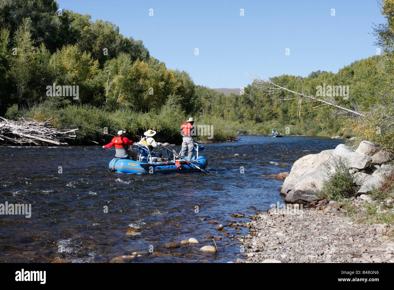 Drift-Fischerei auf der Gunnison River Colorado, USA Stockfoto