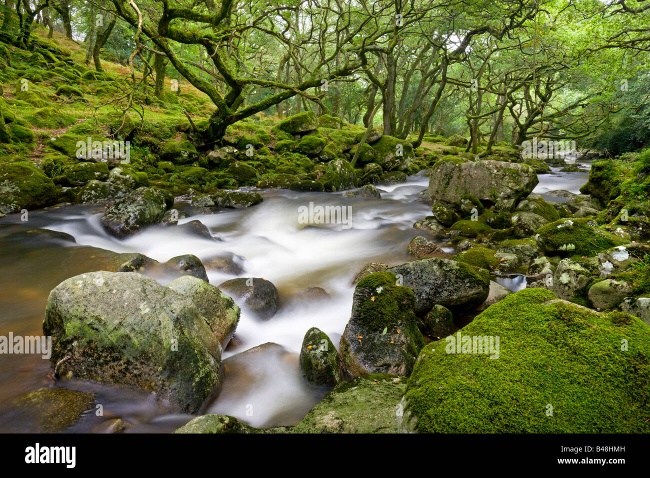 Rocky River Plym fließt durch Dewerstone Wood in Dartmoor National Park Devon England Stockfoto