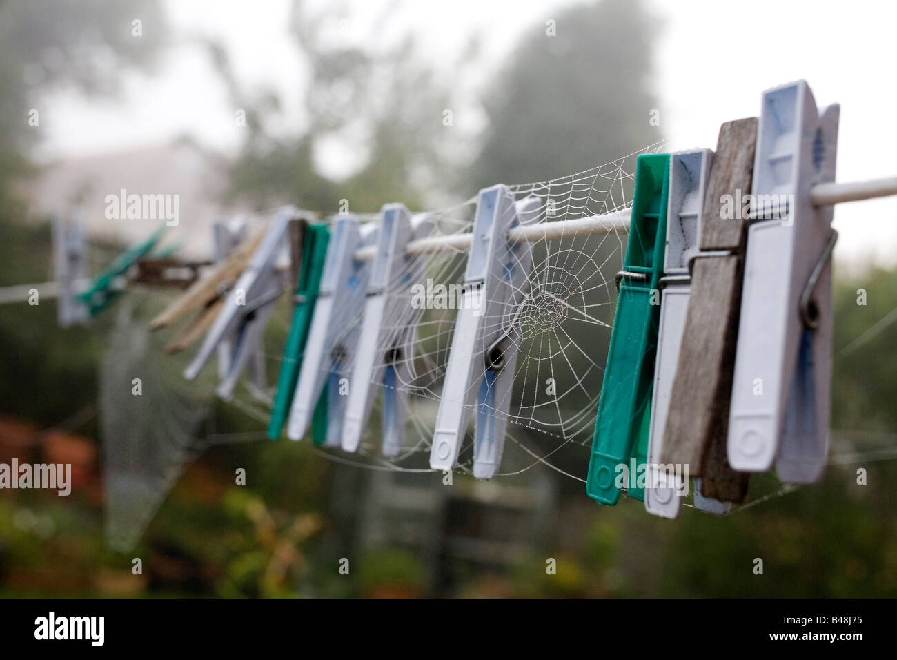 Ein Spinnen-Netz auf Wäscheklammern an einer Wäscheleine. Stockfoto