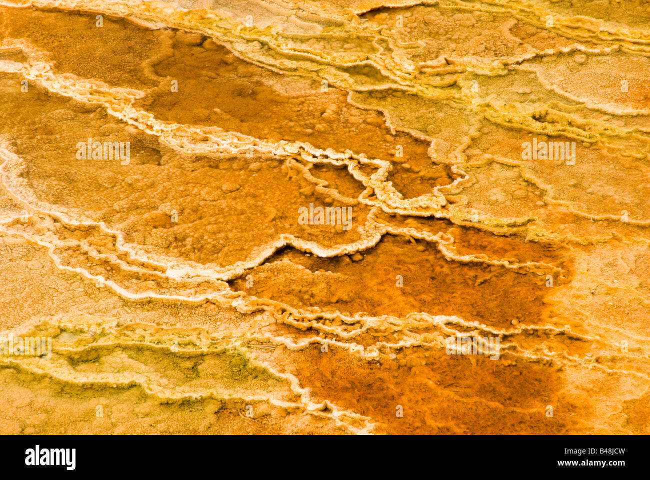 bunte abstrakte Muster in ein Thermalbad in den Geysir-Becken des Yellowstone National Park Stockfoto