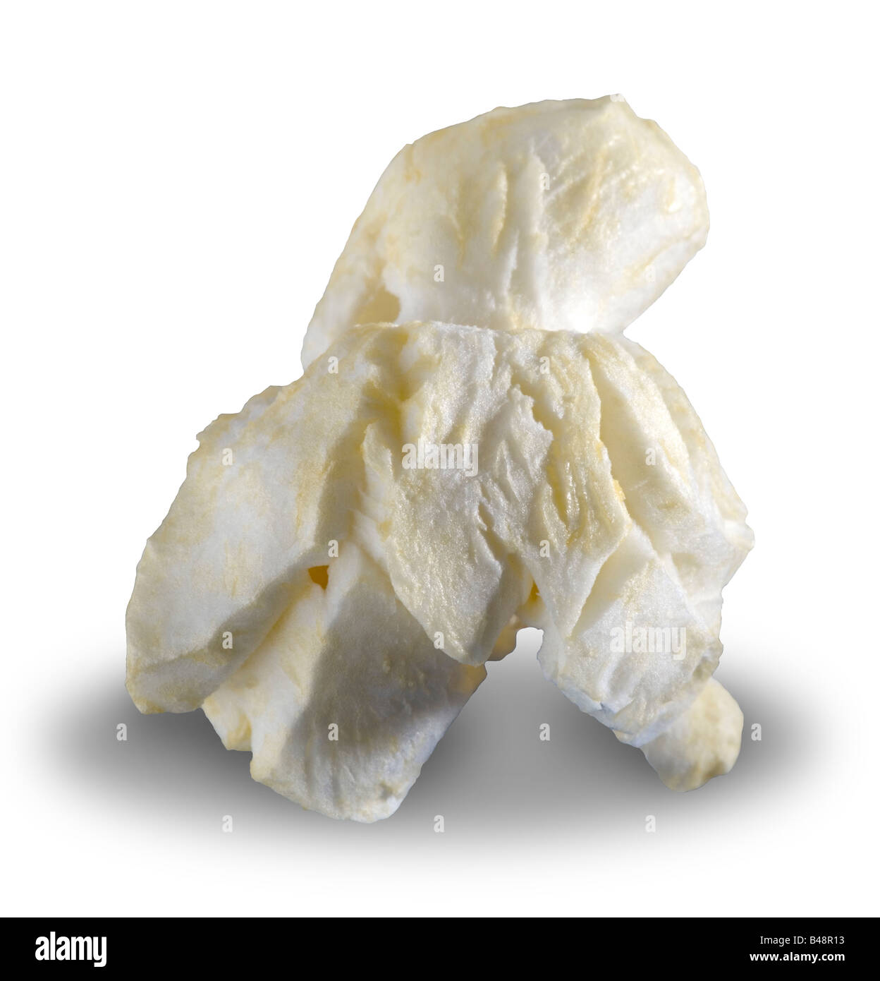 Ein einziges Stück gebutterte Popcorn isoliert auf Blau ein Pfad ist im Preis inbegriffen Stockfoto