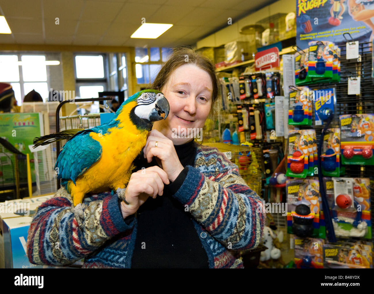 Pet Shop-Betreiber und Ara Papagei, England, UK Stockfoto