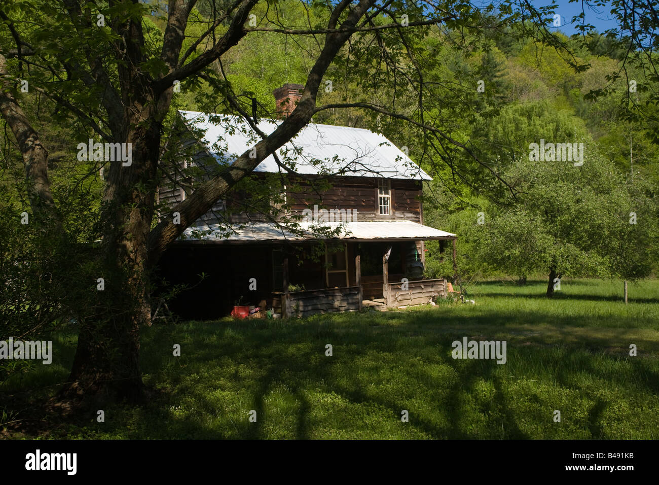 Hohe Schatten von Bäumen nähern sich ein alten hölzernen Bauernhaus mit einem Blechdach. Ländliche Umgebung, am Abend mit einem Wald. Stockfoto