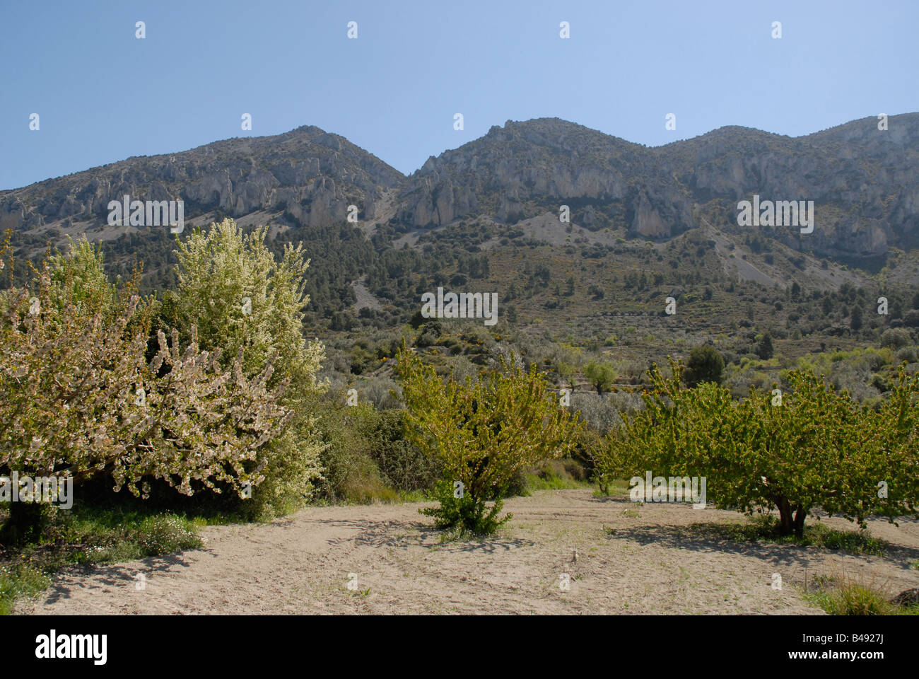 Serrella gebirge Fotos und Bildmaterial in hoher Auflösung Alamy