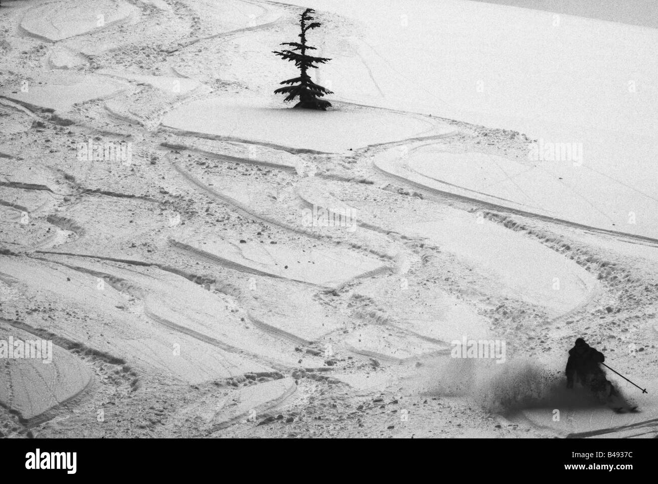 Ein Skifahrer die Strecke in einem Feld von Schnee mit einem einsamen Baum Stockfoto
