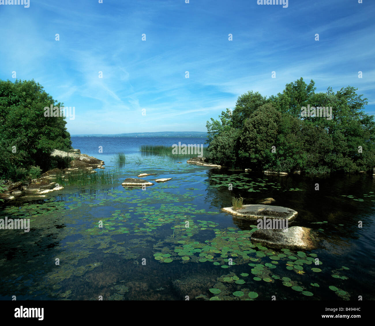 Unterwasser Vegetation wachsen in einer von Irlands Binnenseen, Schönheit in der Natur, Stockfoto