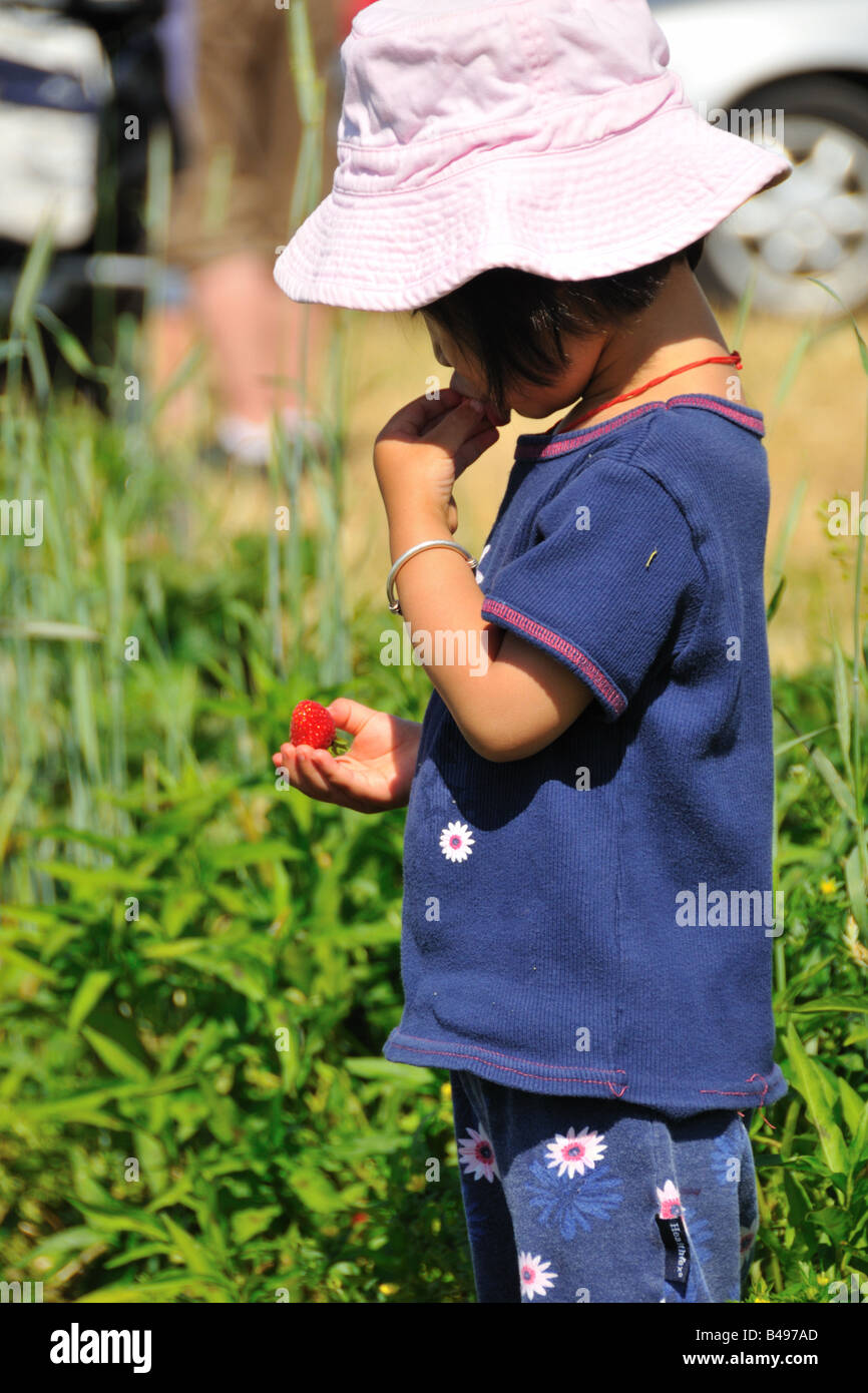 Mädchen am Erdbeerfarm. Stockfoto