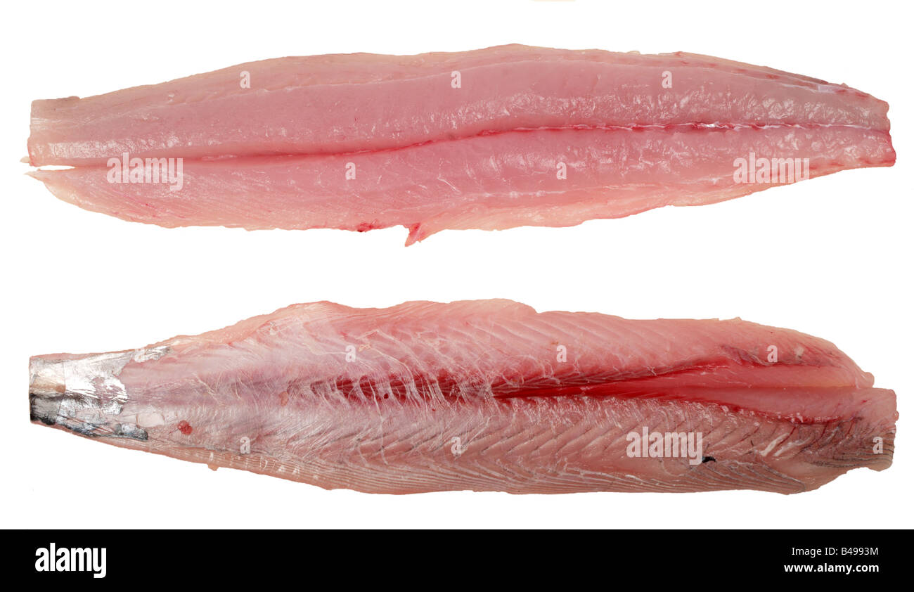 Filets von schmalen verjährt spanische Makrele Scomberomorus Commerson oder Königsmakrele bekanntlich in Arabien und Asien Stockfoto