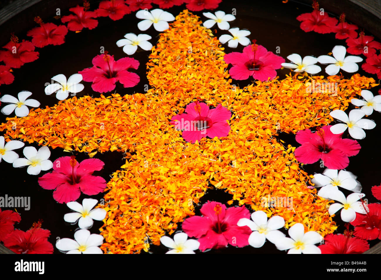 Blumenkunst (schwimmenden Blumen) von Kerala, Indien Stockfoto