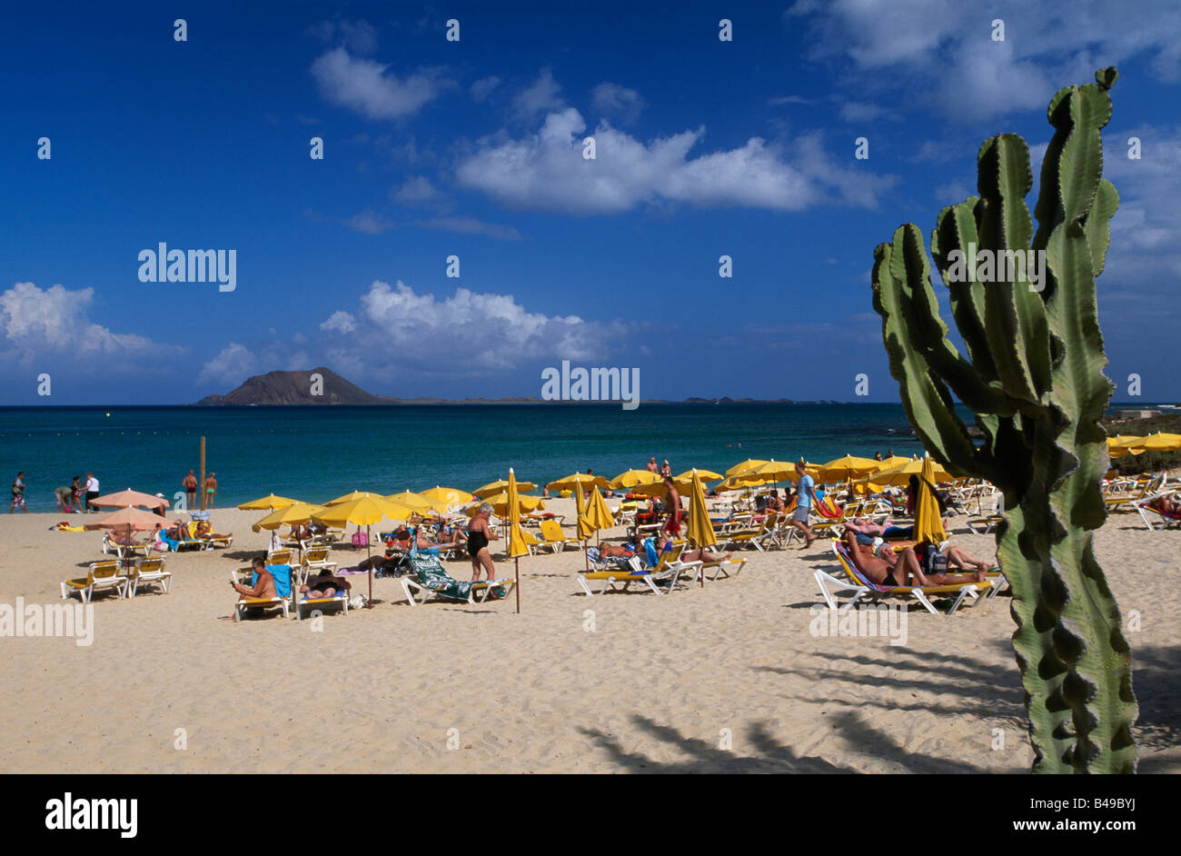 Strand von Corralejo Fuerteventura-Kanarische Inseln-Spanien Stockfoto