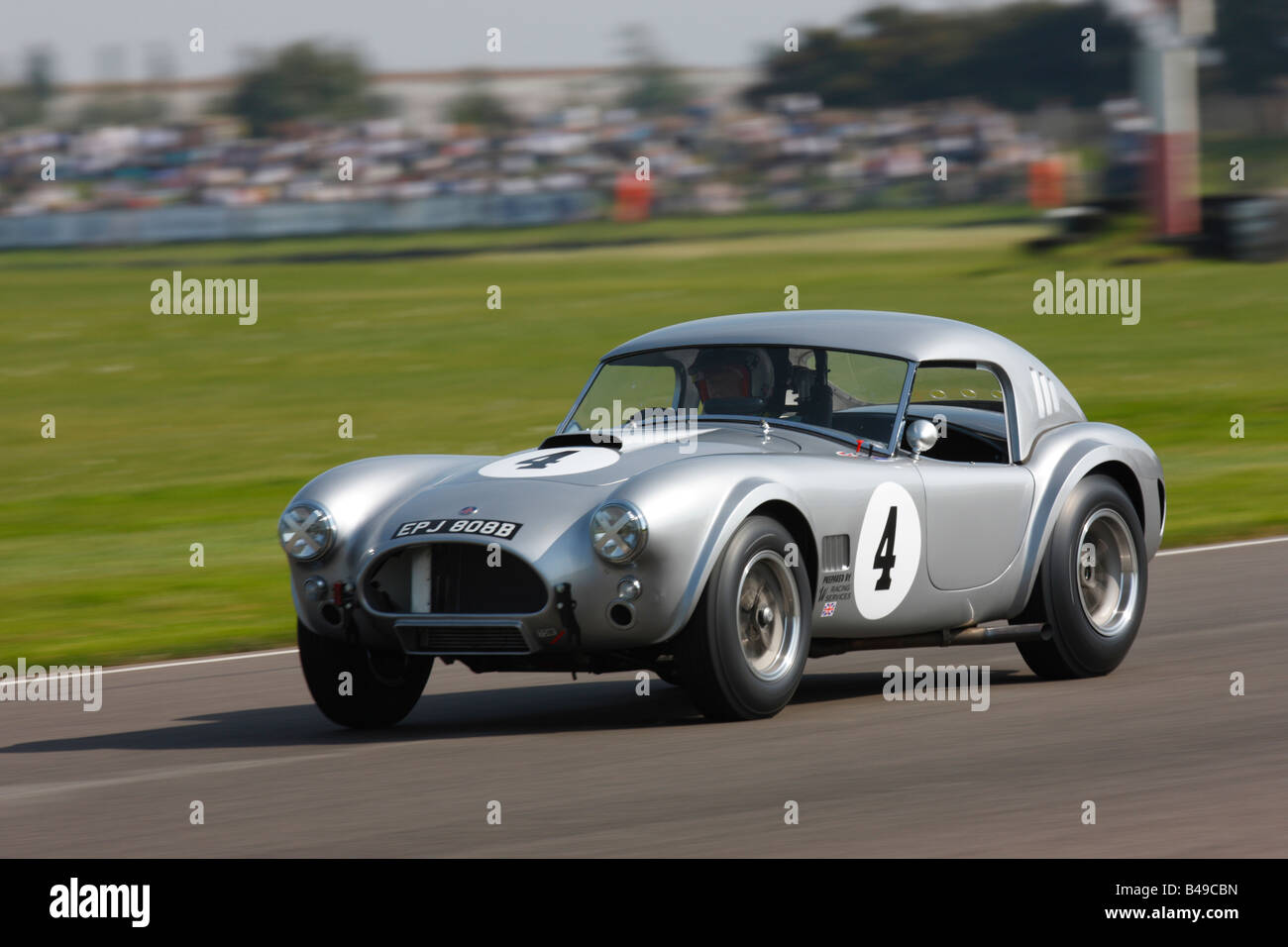 AC Cobra angetrieben von Nick Wigley und Barrie Williams beim Goodwood Revival treffen 2008 Stockfoto