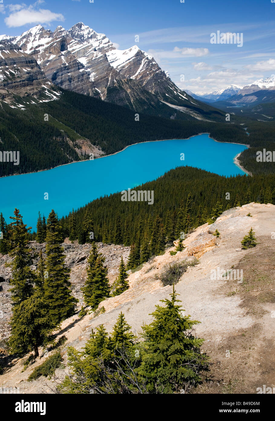 Peyto Lake im Banff Nationalpark, Alberta, Kanada. Stockfoto