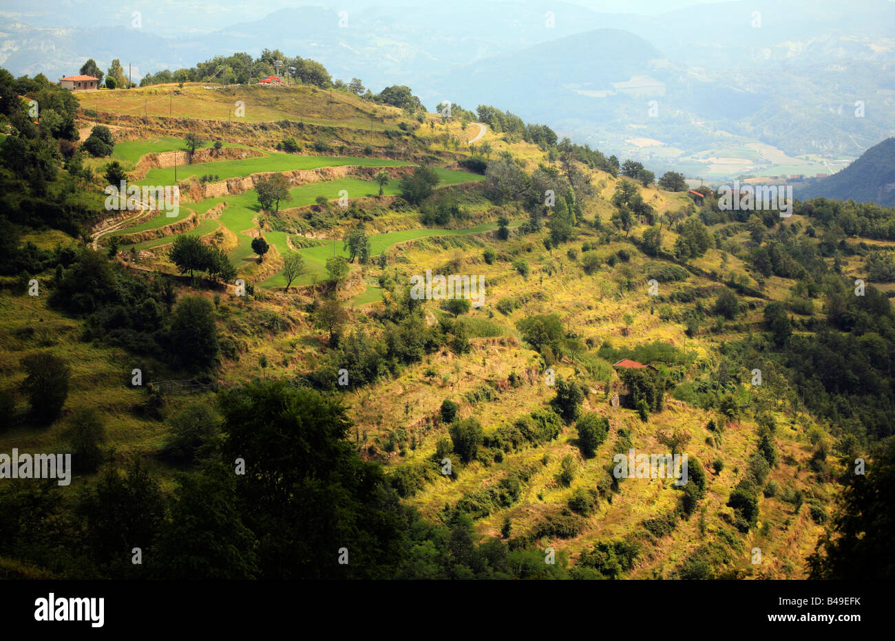 Terrassierten Hügel in Piemont Italien Stockfoto