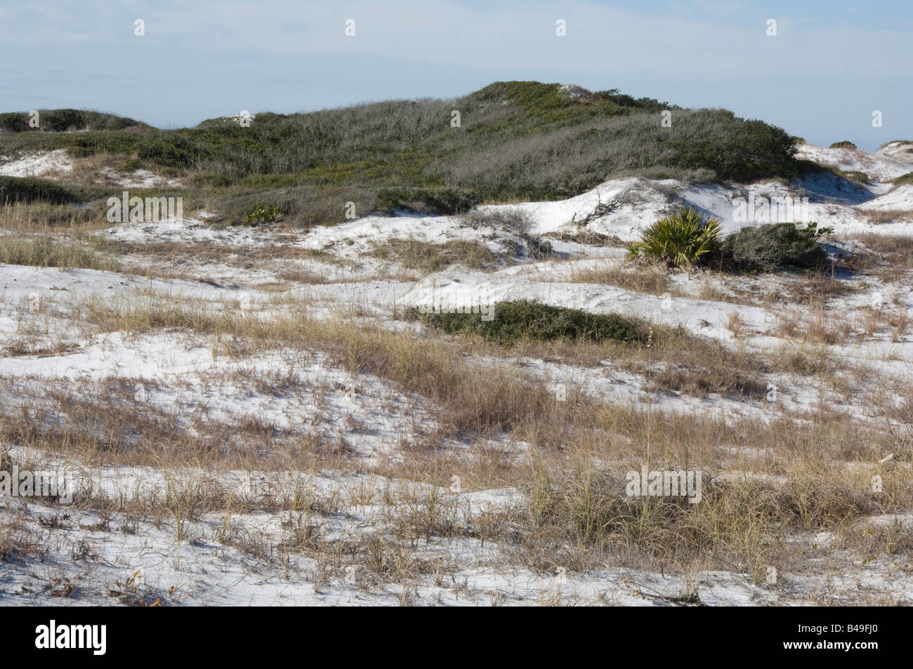 Küsten-Dünenlandschaft an sonnigen Tag Stockfoto