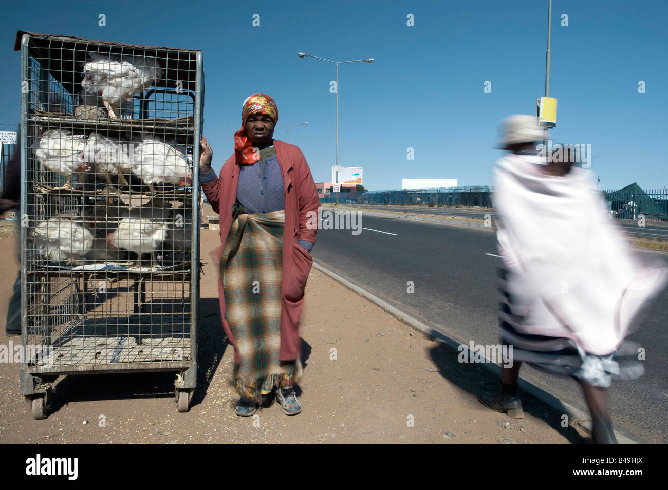 Frau, die Hühner in Soweto Johannesburg Südafrika veröffentlicht GreatStock Afrika Modellsammlung zu verkaufen Stockfoto