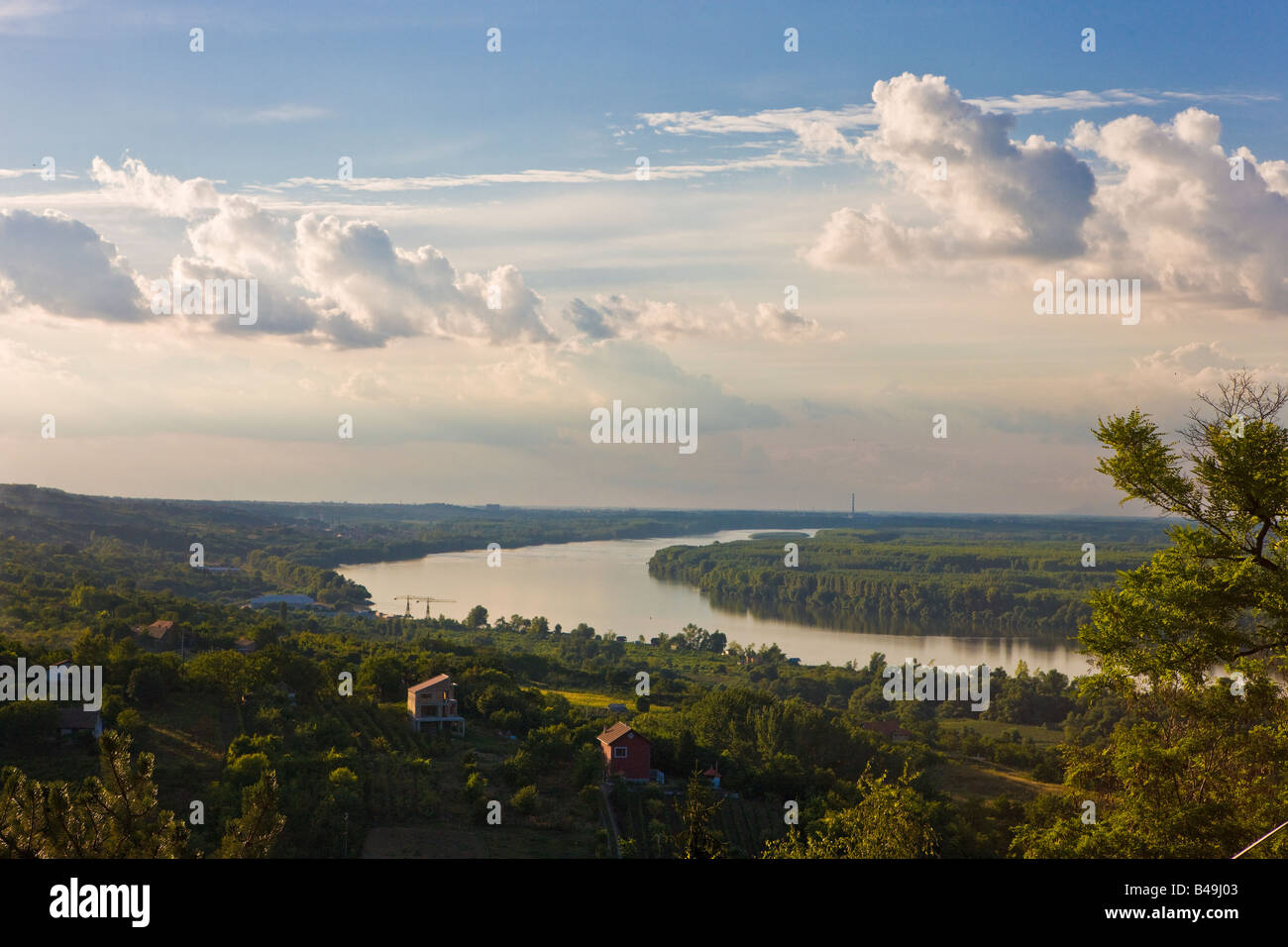 Entlang der Donau in der Region des nördlichen Serbien Blick nach Norden in Richtung der Stadt Novi Sad Vojvodina Stockfoto