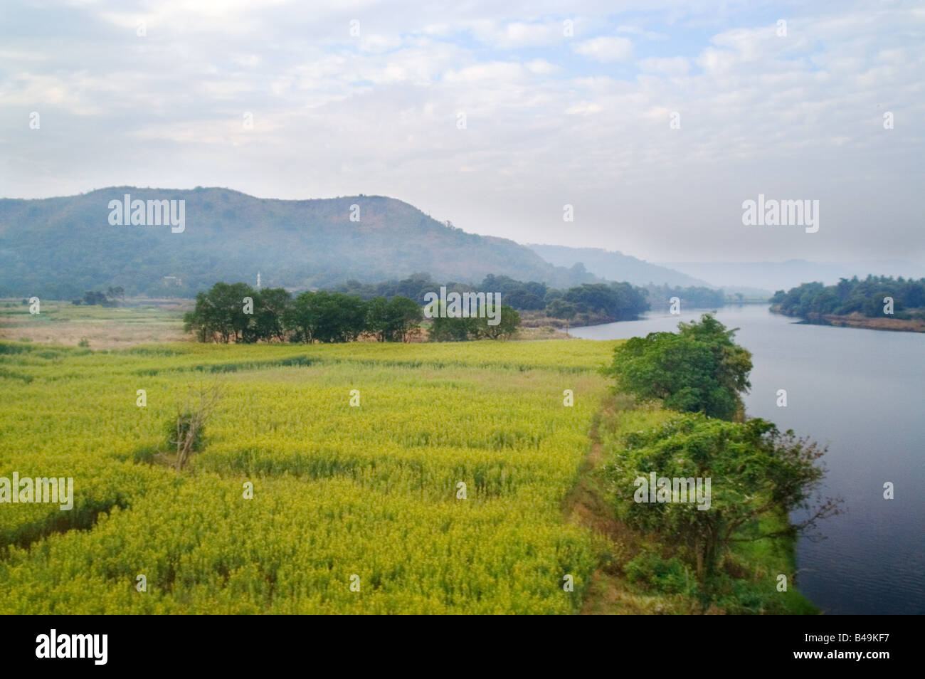 Blick aus dem Zug in Konkan Stockfoto