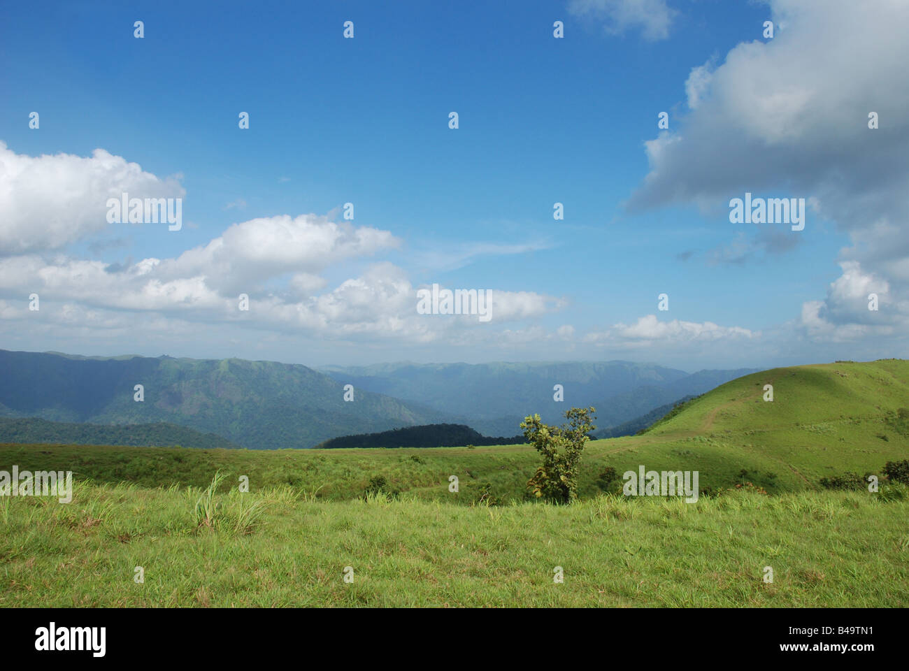 Landschaft Kuttikkanam Kerala, Wiesen Hillview Berge Stockfoto